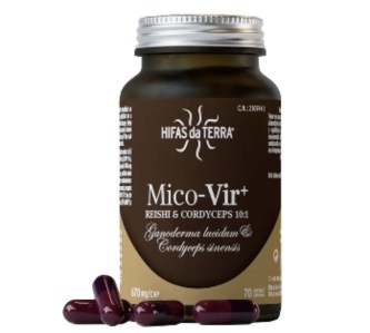 Immagine 08-01-26 - 17.24